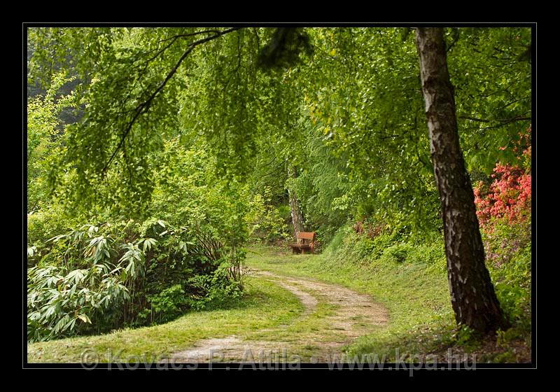 Jeli_Arboretum_020.jpg