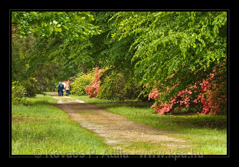 Jeli_Arboretum_030.jpg