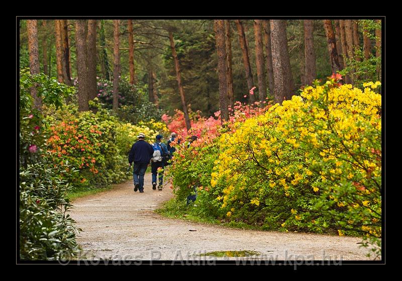 Jeli_Arboretum_048.jpg