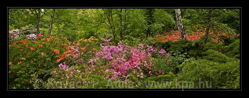 Jeli_Arboretum_081.jpg