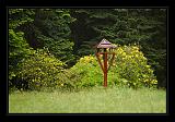 Jeli_Arboretum_010