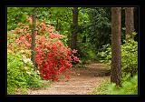 Jeli_Arboretum_043