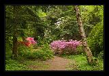 Jeli_Arboretum_063