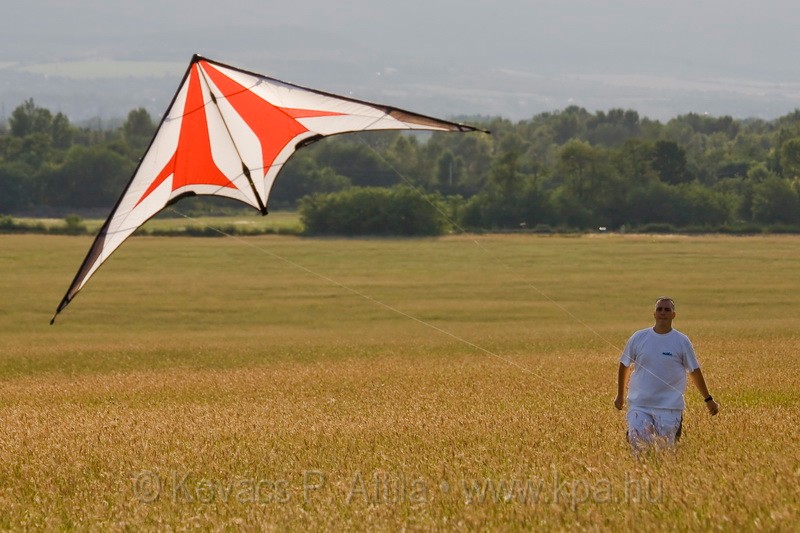 Kite_0000.jpg