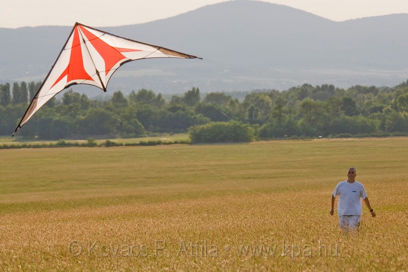 Kite_0002.jpg