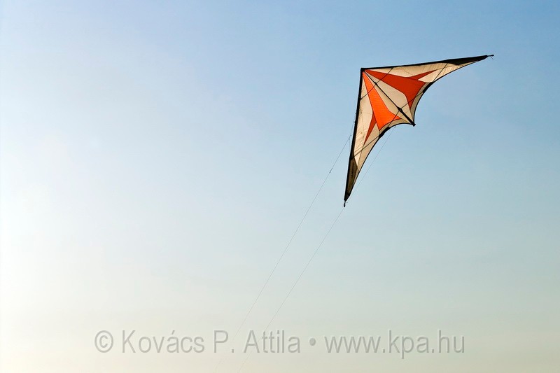 Kite_0006.jpg