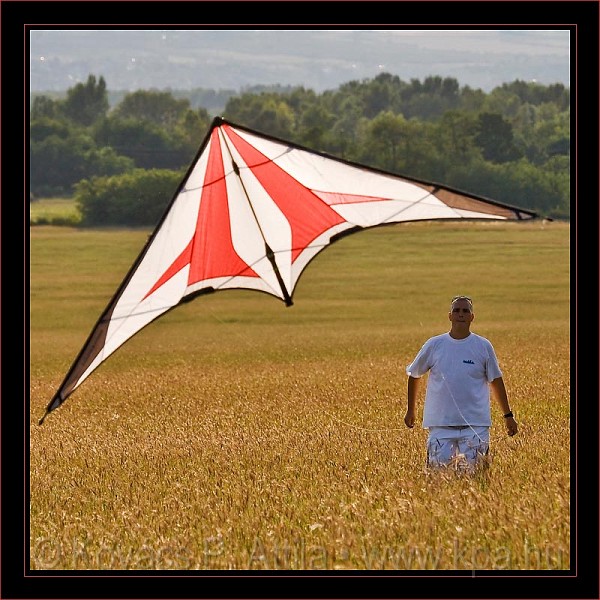 Kite_0019.jpg