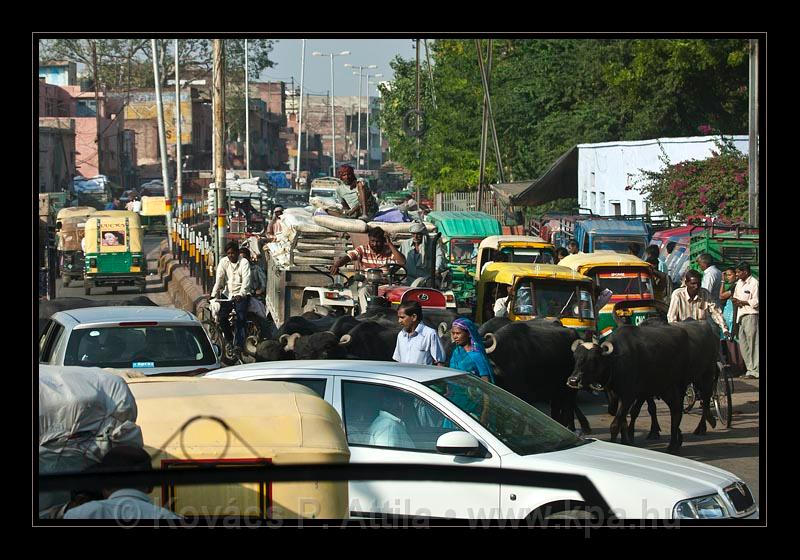 Agra-India_074.jpg