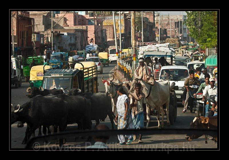 Agra-India_075.jpg