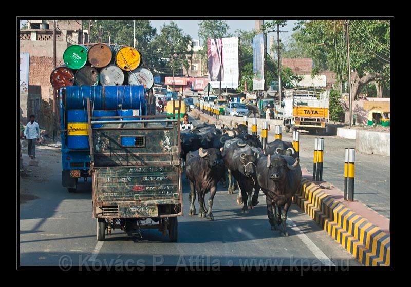 Agra-India_077.jpg