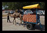 Agra-India_042