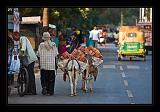 Agra-India_096