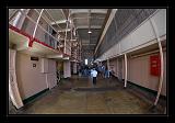 Alcatraz_0015