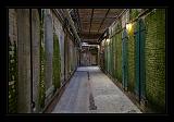 Alcatraz_0037