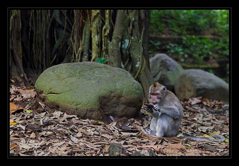 Bali_185.jpg