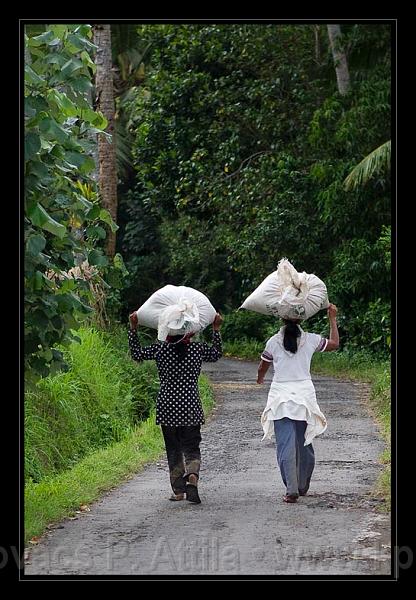 Bali_192.jpg