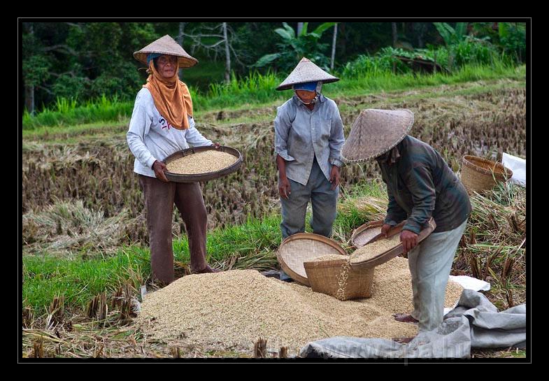 Bali_196.jpg