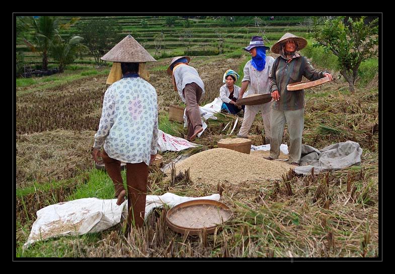 Bali_198.jpg