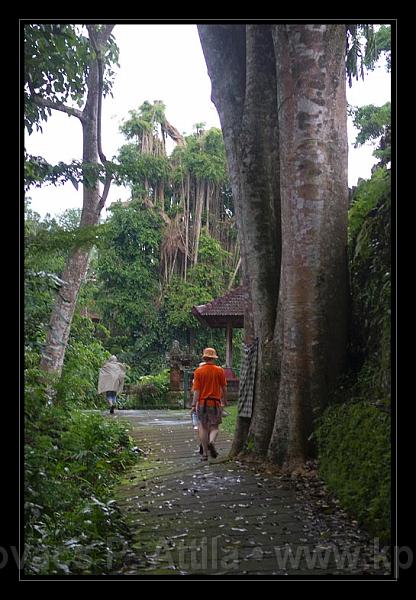 Bali_203.jpg