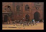 Delhi_004