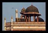 Delhi_036