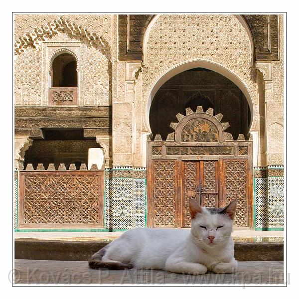 Fes_Marocco_030.jpg