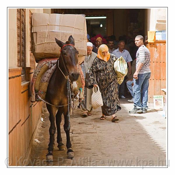 Fes_Marocco_060.jpg