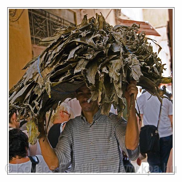 Fes_Marocco_063.jpg