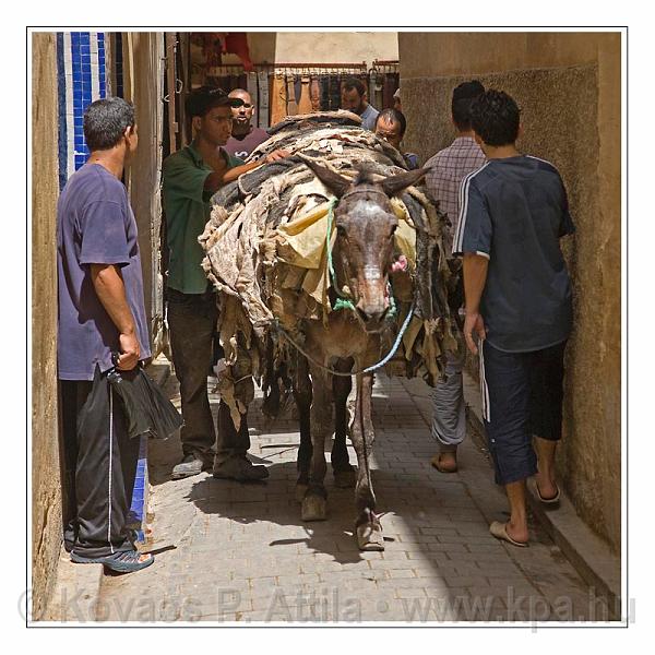 Fes_Marocco_082.jpg