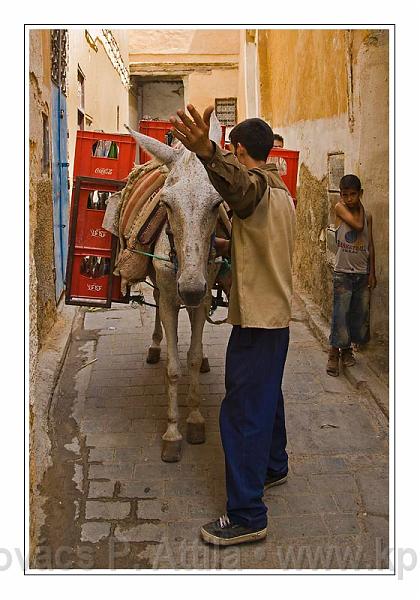 Fes_Marocco_091.jpg