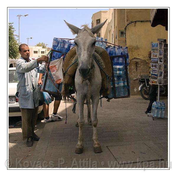 Fes_Marocco_092.jpg