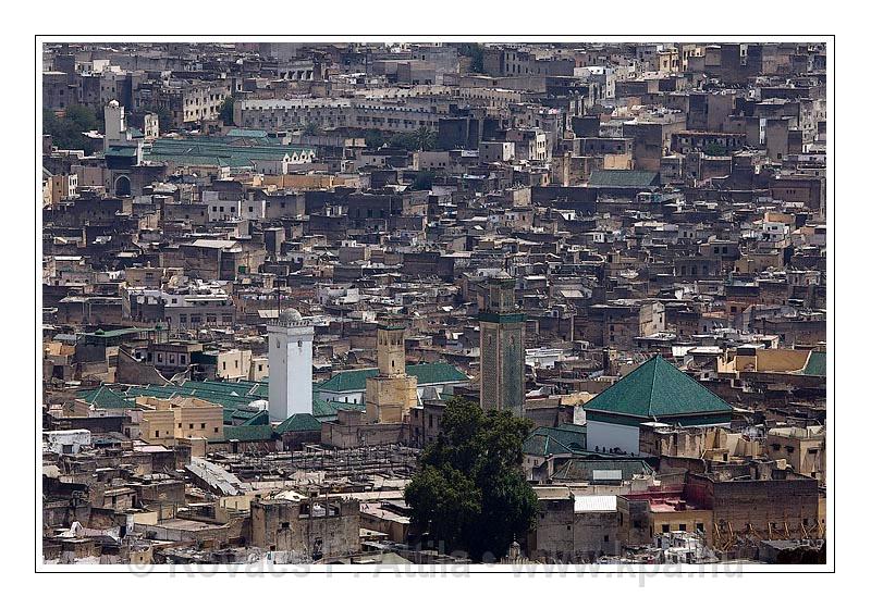 Fes_Marocco_096.jpg