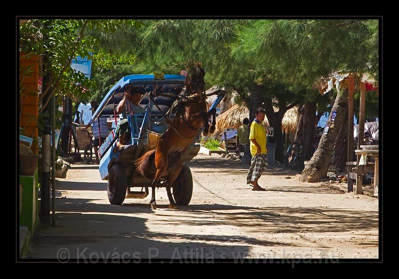 Gili_Islands_004.jpg