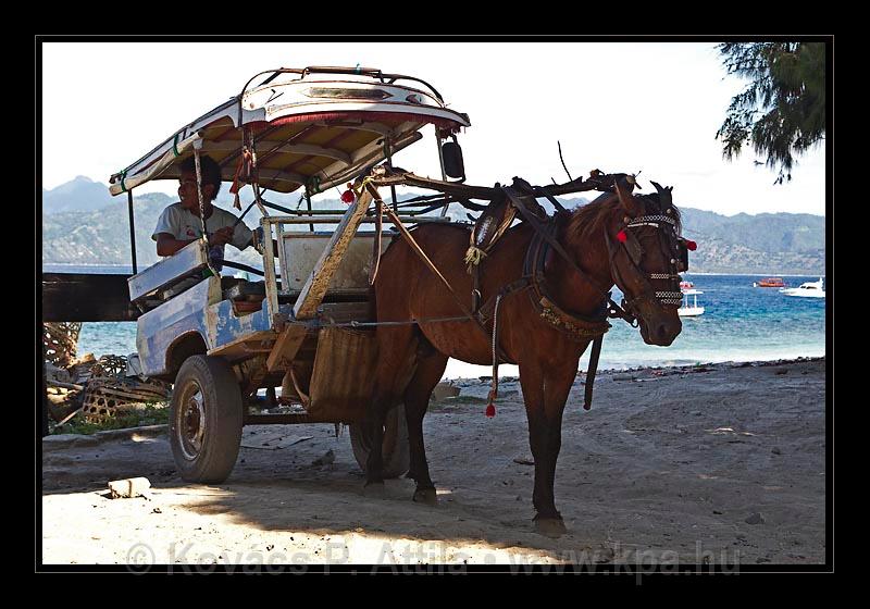 Gili_Islands_013.jpg