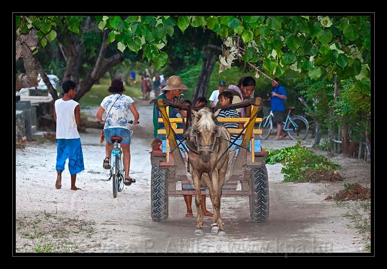 Gili_Islands_041.jpg