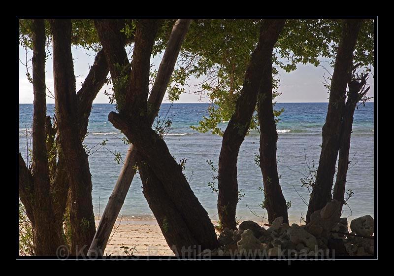 Gili_Islands_052.jpg