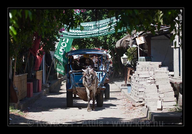 Gili_Islands_062.jpg