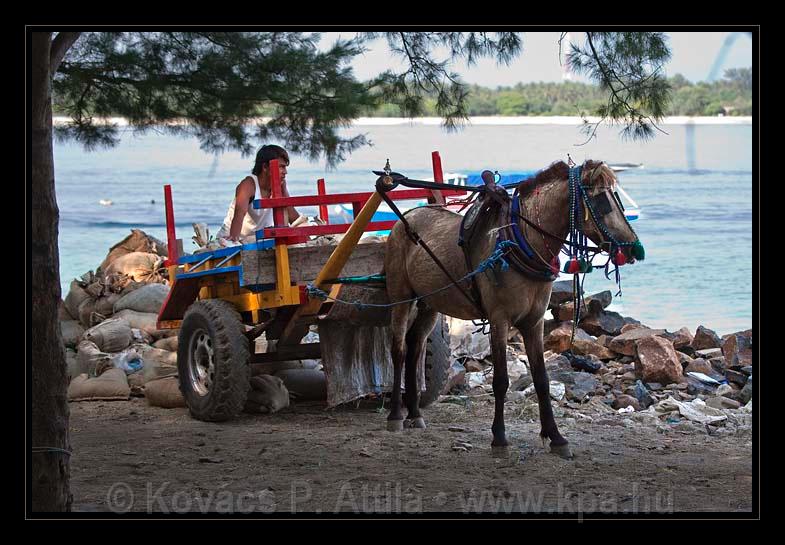 Gili_Islands_079.jpg