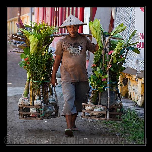 Gili_Islands_082.jpg