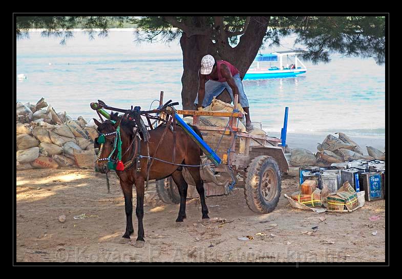 Gili_Islands_102.jpg