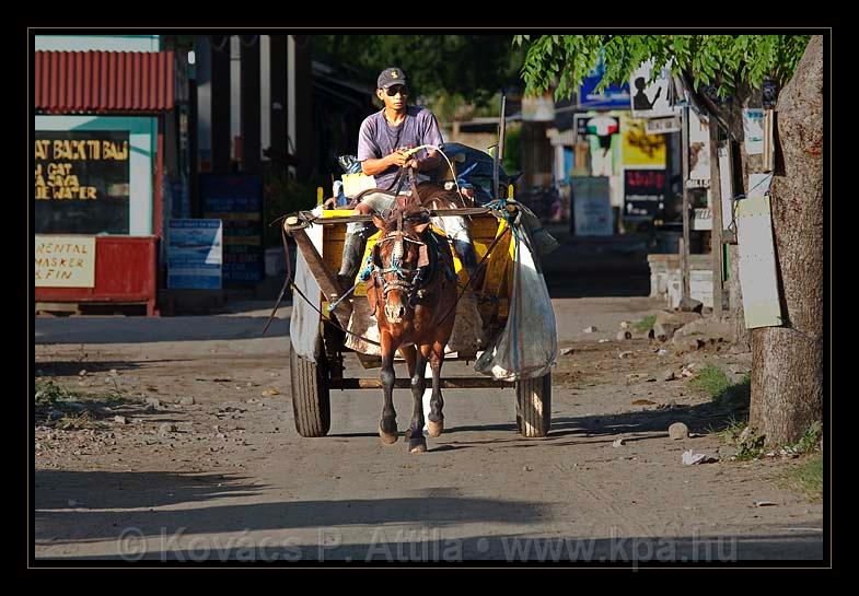 Gili_Islands_108.jpg