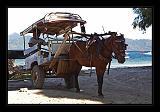 Gili_Islands_013