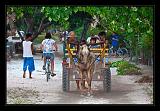 Gili_Islands_041