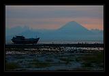 Gili_Islands_042