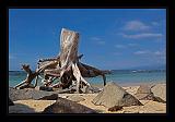 Gili_Islands_053