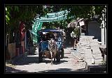 Gili_Islands_062