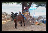 Gili_Islands_102