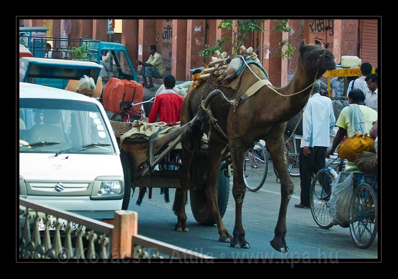 Jaipur-India_006.jpg