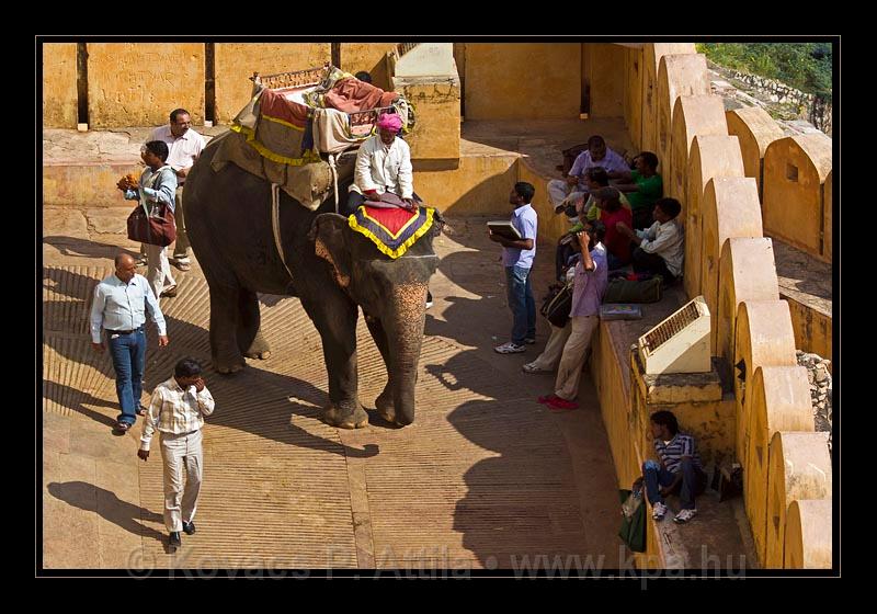 Jaipur-India_042.jpg