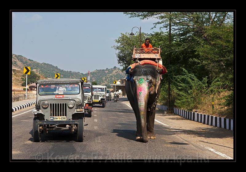 Jaipur-India_061.jpg